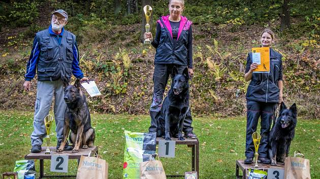 Dvacítka psů soutěžila v Liberci O liberecký pohár - Liberecký deník