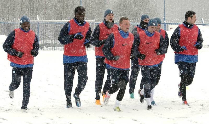 První trénink před jarním kolem ligy absolvovali fotbalisté FC Slovan Liberec na umělém trávníku U Nisy.