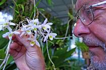 Orchideje a sukulenty, které byly zabaveny pašerákům, pěstují v liberecké Botanické zahradě. Ředitel zahrady Miloslav Studnička s orchidejí s dočasným pracovním názvem Dendrobium SP.