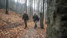 Slavnostní otevření nové lesní stezky pro pěší z Oldřichovského sedla k vlakovému nádraží v Oldřichově v Hájích v Jizerských horách proběhlo 8. listopadu.