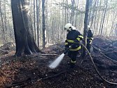 Hašení bukového lesa komplikuje velké převýšení a skalnatý terén se spoustou strží, do kterého nemohou hasiči najet svou těžkou technikou. V provozu je přes 600 metrů hadic.