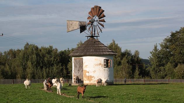 Jindřichovice pod Smrkem