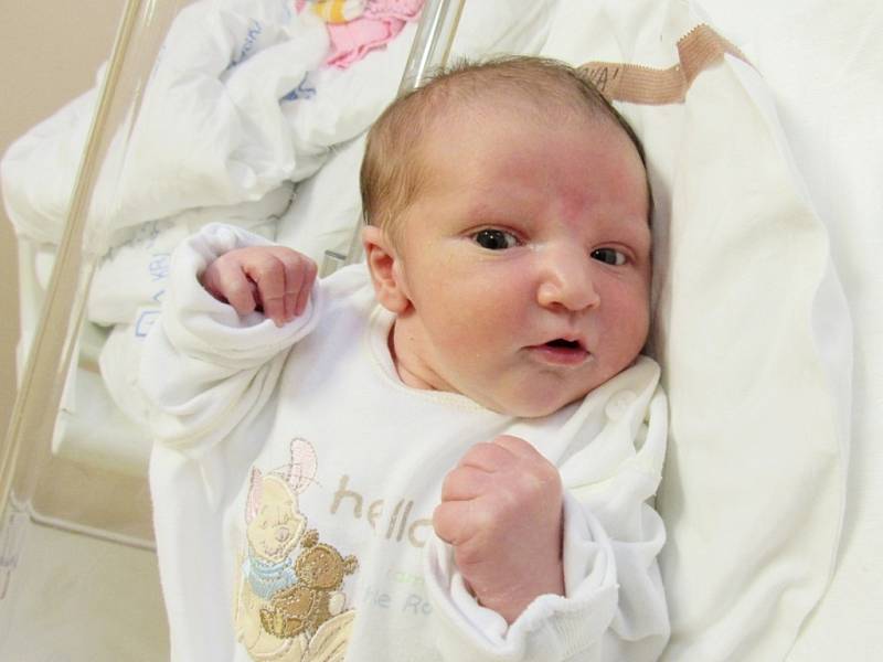 SOFIE ĎUĎOVÁ  Narodila se 22. ledna v liberecké porodnici mamince Kristýně Ademiové z Hejnic.  Vážila 2,85 kg a měřila 48 cm.