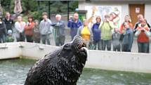 Zoo Liberec. Ilustrační foto.