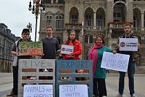 Na středu 13. září 2017 připadl Mezinárodní den STOP přepravě zvířat. A demonstrace se konala mimo jiné i na libereckém náměstí.
