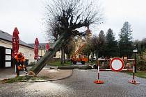 Kácení stromů před kostelem Navštívení Panny Marie v Hejnicích.