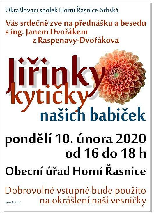 Jiřinky - kytičky našich babiček