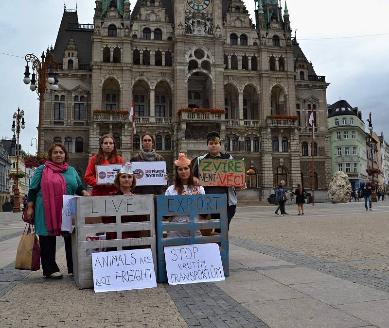 Na středu 13. září 2017 připadl Mezinárodní den STOP přepravě zvířat. A demonstrace se konala mimo jiné i na libereckém náměstí.