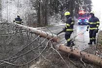 Počasí komplikuje dopravu v kraji. Hasiči ve Vratislavicích museli odstraňovat z cesty spadlý strom.