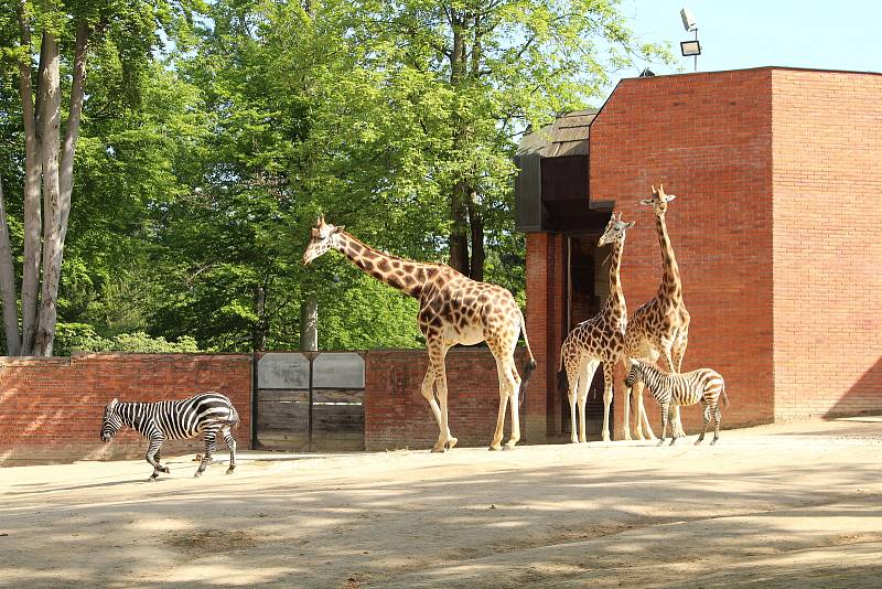 Zoologická zahrada Liberec