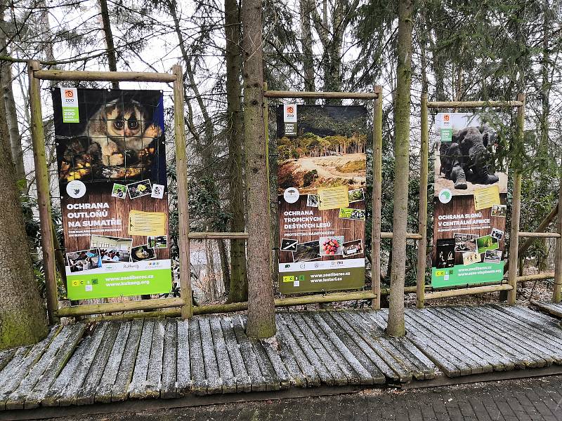 Liberecká zoo znovu otevřela své brány a uvítala první návštěvníky.