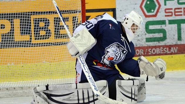 Pavel Čajan v dresu Bílých Tygrů Liberec.