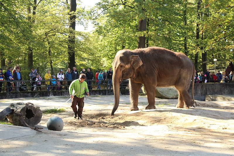 Mezinárodní den zvířat v liberecké zoologické zahradě.