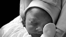 Leonidas se narodil 24. května v liberecké porodnici mamince Zuzaně Neumannové. Vážil 3,6 kg a měřil 50 cm.
