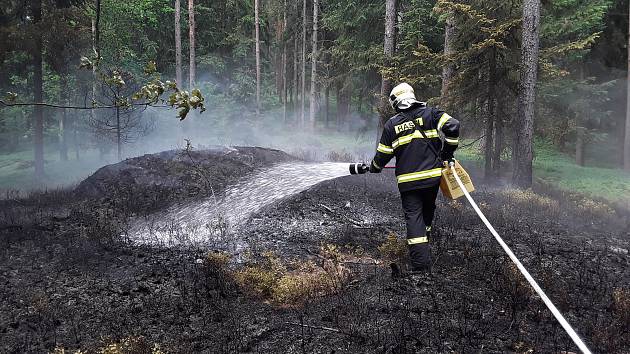 Hasiči zasahují u požáru lesa na Prosečském hřebeni u Vratislavic.