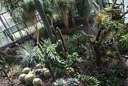 Pokud trávíte léto v Liberci, nabízíme tip na návštěvu. Vyrazte do Botanické zahrady, která je nejstarší v České republice.