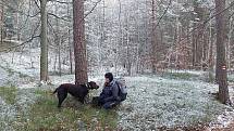 Kynologové hasičského sboru pátrali po pohřešovaných osobách.