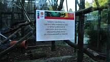 Pavilon opic v liberecké zoo