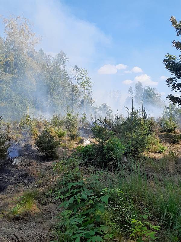 V Rovnáčově u Studence na Semilsku hoří paseka s mladým lesem