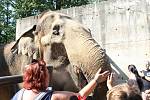 Mezinárodní den slonů v liberecké zoologické zahradě.