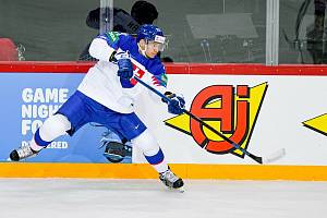 Ivan Michal, posila Liberce. Foto: Bílí Tygři Liberec