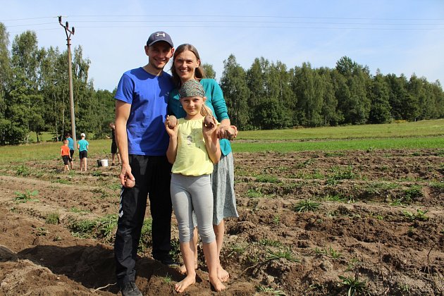 Ruční sklizeň brambor. Melánie Matějka se svým manželem Štěpánem a dcerou.