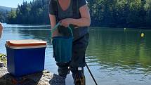 Hygienička Martina Pokorná v pondělí 27. června testovala kvalitu vodu v liberecké přehradě Harcov.