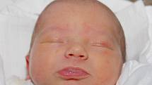 Mamince Lence Kotvové z Proseče pod Ještědem se dne 3. prosince v liberecké porodnici narodil syn Martin. Měřil 50 cm a vážil 3,42 kg.