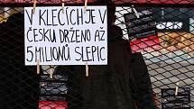 Členové liberecké pobočky Obrazu v sobotu na Soukenném náměstí upozorňovali na problematiku klecových chovů.