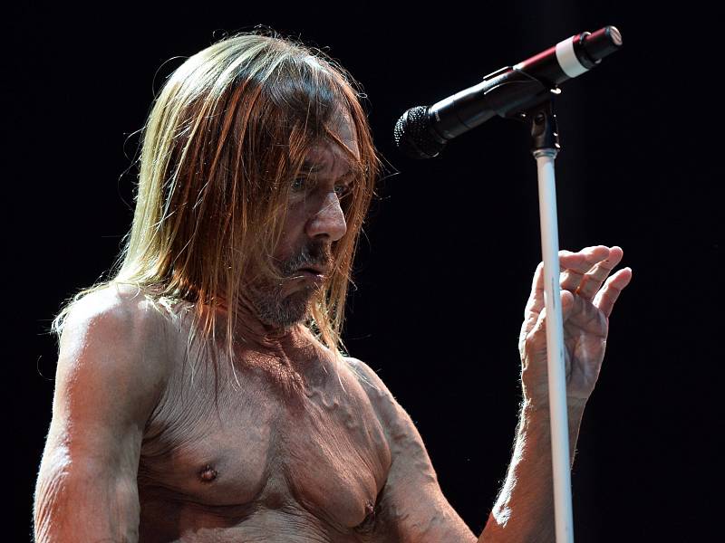 IGGY POP. Punková legenda v Praze 2016.