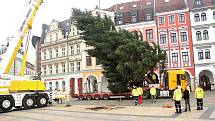 Na libereckém náměstí stojí vánoční strom.