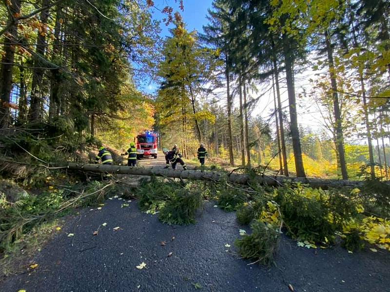 Dobrovolní hasiči z Hrádku nad Nisou zasahovali u popadaných stromů.