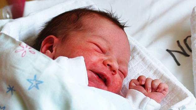 Mamince Šárce Líznerové z Liberce se dne 21. května  2009 v jablonecké porodnici narodila dcera Veronika Hájková, která vážila 2,85 kg a měřila 47 cm. Blahopřejeme!