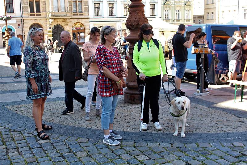 Mistrovství ČR vodicích psů – Memoriál Simony Karlovcové v Liberci