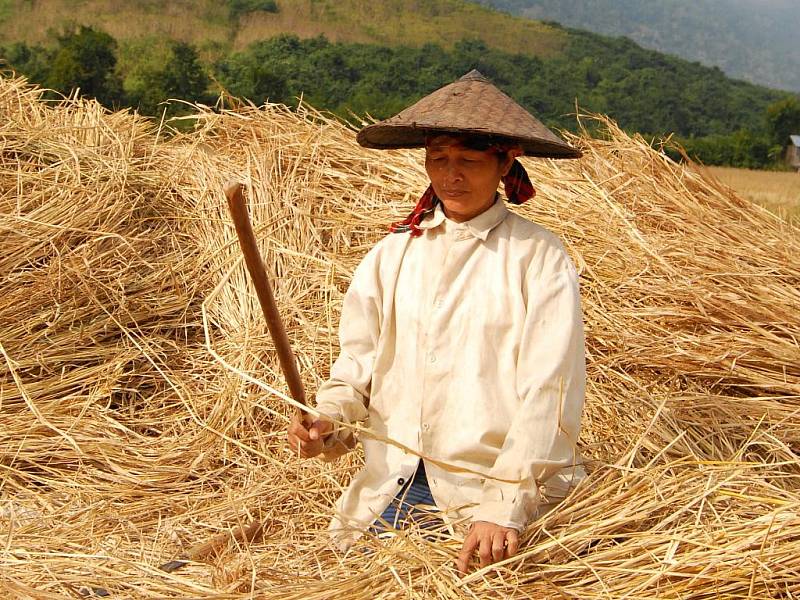 LAOS. Život je tu tvrdý, země byla desetiletí těžce zkoušená, ale lidé jsou tu milí, usměvaví, ochotní. I přes každodenní těžkou obživu. Rýže se tu stále sklízí klasickým způsobem, ručně. Živí se tu stále lovem, a to i vzácných zvířat.