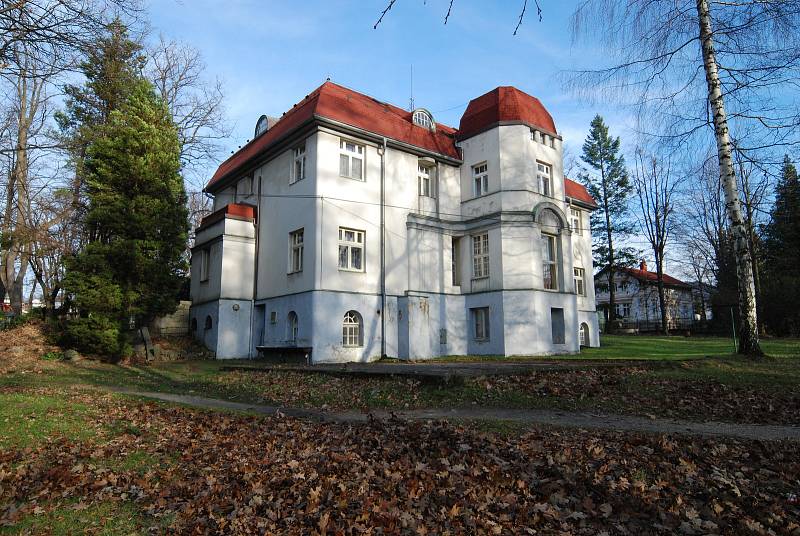 Vilu si nechal postavit Eduard Fritsch v roce 1917 podle návrhu Rudolfa Bitzana. V roce 1921 ji koupil Emil Simon a v roce 1935 došlo k úpravám interiéru, které navrhl Josef Franz Lange z Raspenavy pro Carla Witta.
