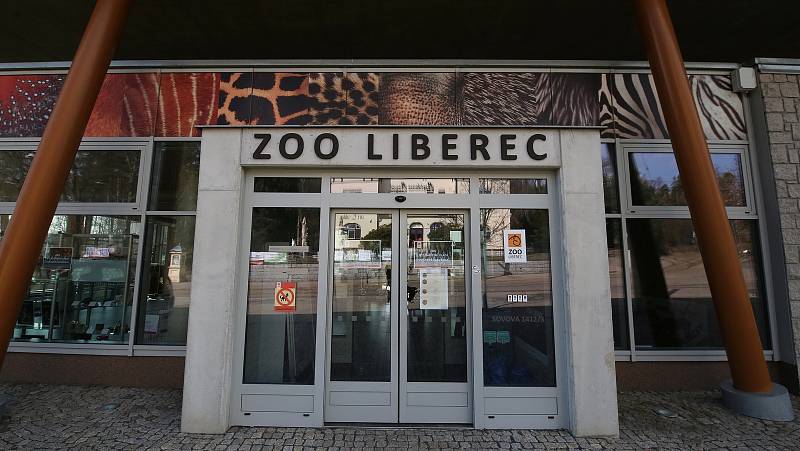 Zoologická zahrada v Liberci strádá, téměř tři čtvrtě roku sem nevkročil kvůli koronaviru žádný návštěvník.