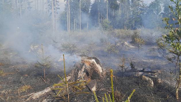 V Rovnáčově u Studence na Semilsku hoří paseka s mladým lesem