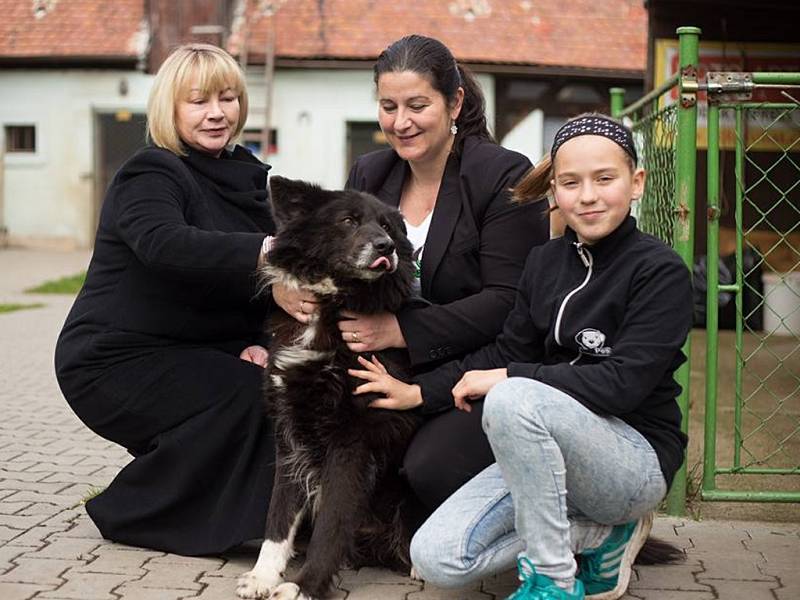 První dáma Ivana Zemanová na návštěvě Libereckého kraje