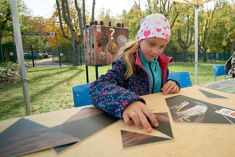 V liberecké zoologické zahradě oslavili Mezinárodní den zvířat.