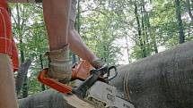 Motorovou pilou se pustil do opracovávání hrubého kmene stromu výtvarník Jan Švadlenka, který přijel na Etnořez z Mukařova u Prahy.
