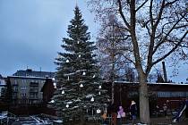 Vánoční strom u Technického muzea.