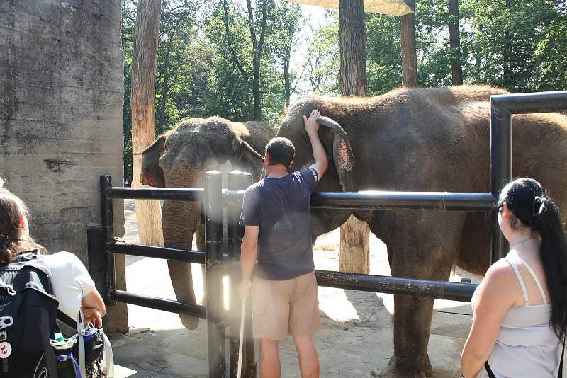 Mezinárodní den slonů v liberecké zoologické zahradě.