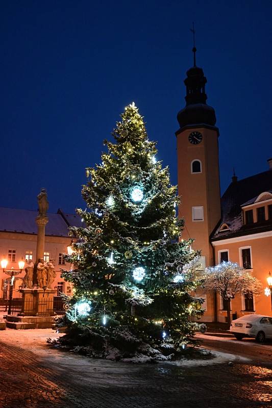 Vánoční strom v Českém Dubu