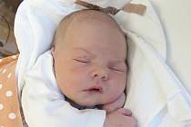 EMMA TRYTKOVÁ Narodila se 16. března 2018 v liberecké porodnici rodičům Michaele Drbohlavové a Pavlu Trytkovi z Liberce. Vážila 3,84 kg a měřila 52 cm.