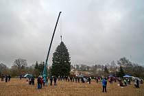 Vánoční strom pro Prahu pocházel z Libereckého kraje i v loňském roce.