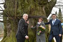 Letošní návštěva prezidenta Zemana žádné objímání stromů na programu nemá.