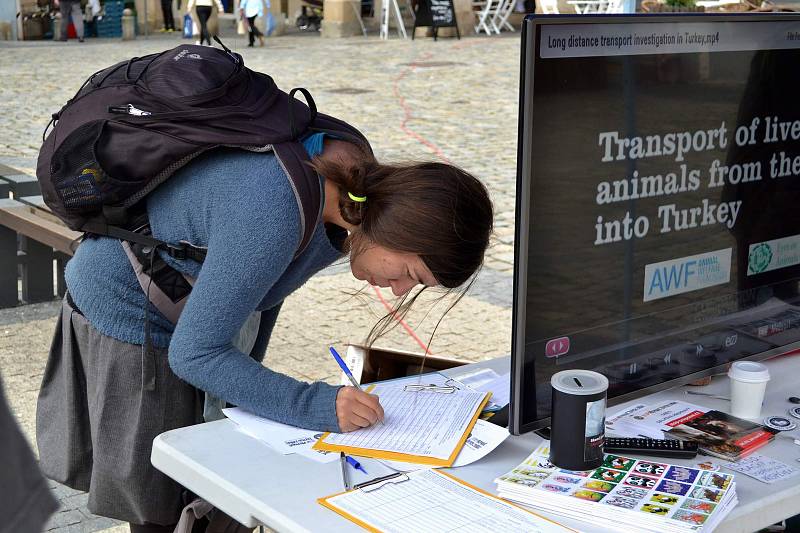 Na středu 13. září 2017 připadl Mezinárodní den STOP přepravě zvířat. A demonstrace se konala mimo jiné i na libereckém náměstí.