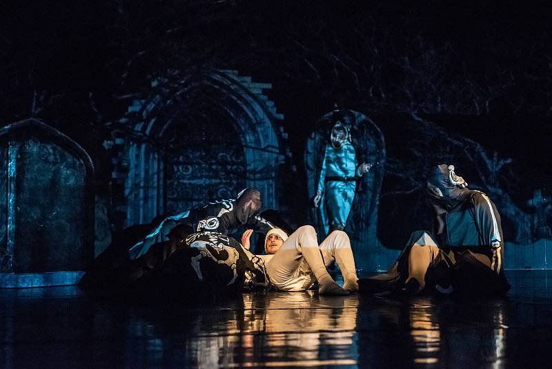 Baletní představení Vánoční koleda poprvé uvidí diváci v pátek 16. listopadu.