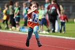 v Liberci běželo padesátimetrovou trať v kategorii čtyřletých 33 malých běžců.